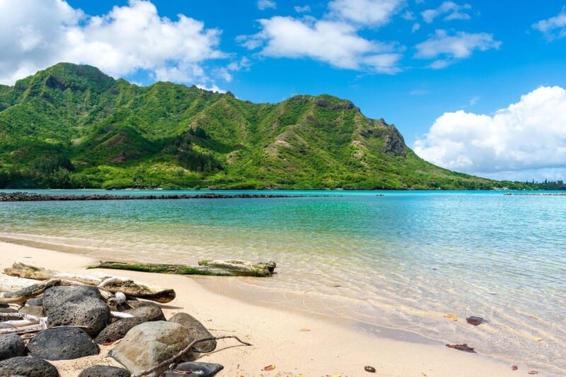 Oahu: Kahana River Stand-Up Paddleboard Rental - The Sum Up