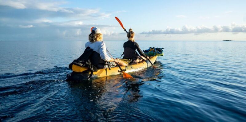 Oahu: Kaneohe Bay Coral Reef Kayaking Rental - Key Points
