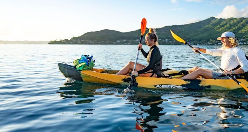 Oahu: Kaneohe Bay Coral Reef Kayaking Rental - An In-Depth Look at the Experience