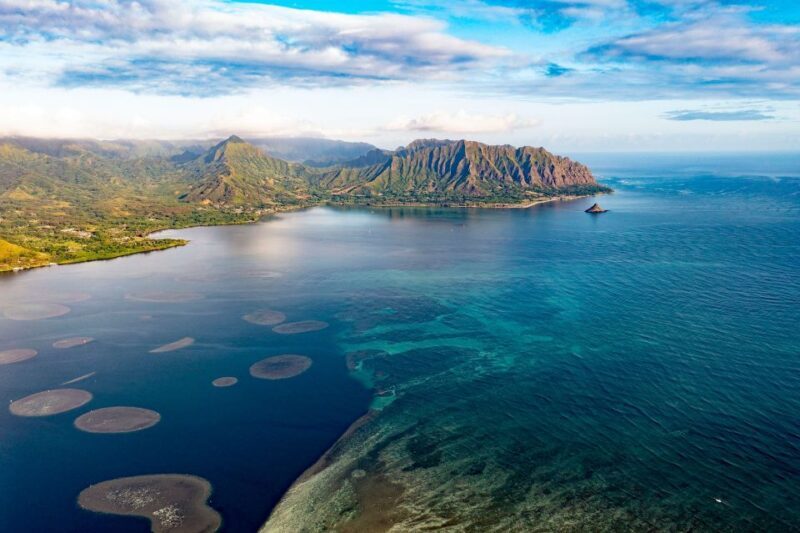 Oahu: Kaneohe Bay Coral Reef Kayaking Rental - Authentic Feedback from Past Participants