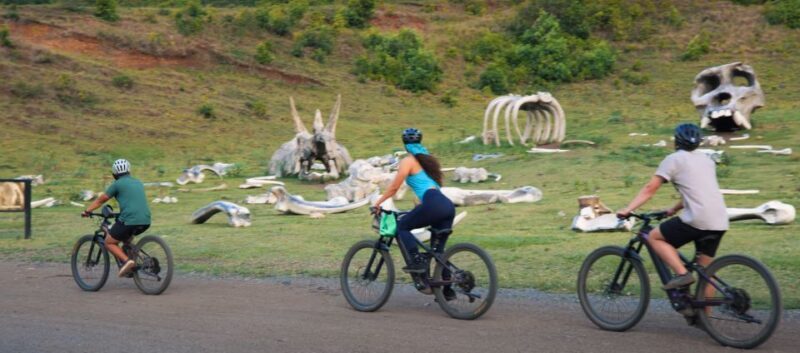 Oahu: Kualoa Electric Bike Tour - Introduction