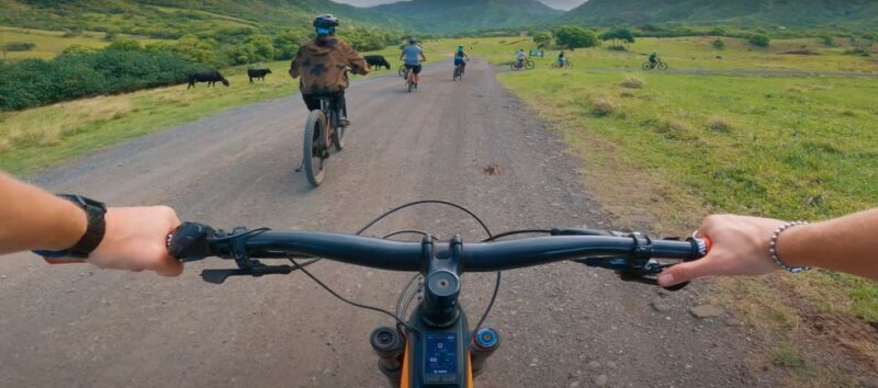 Oahu: Kualoa Electric Bike Tour - Who Would Love This Tour?