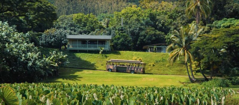 Oahu: Kualoa Farm and Secret Island Tour by Trolley - Who Will Appreciate This Tour?