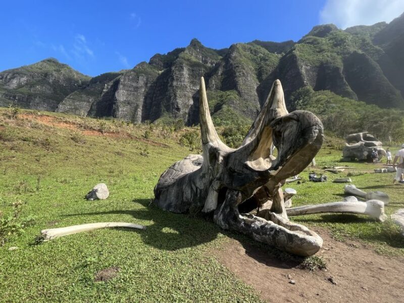 Oahu: Kualoa Movie Sites, Jungle, and Buffet Tour Package - Who is This Tour Best For?