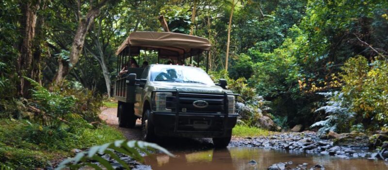 Oahu: Kualoa Open Air Jungle Expedition Tour - What to Expect on the Kualoa Jungle Expedition