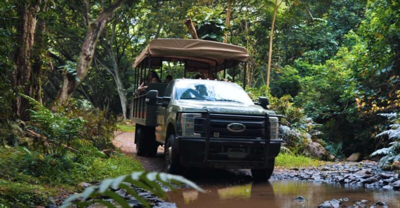 Oahu: Kualoa Open Air Jungle Expedition Tour - Who Should Consider This Tour?