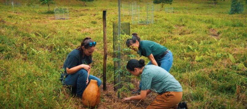 Oahu: Kualoa Ranch Malama Sustainability and Gardening Tour - What to Expect from the Kualoa Ranch Malama Experience