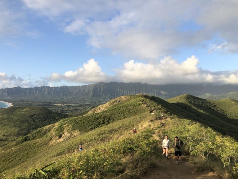 Oahu: Manoa Falls Hike and east side beach day - Key Points