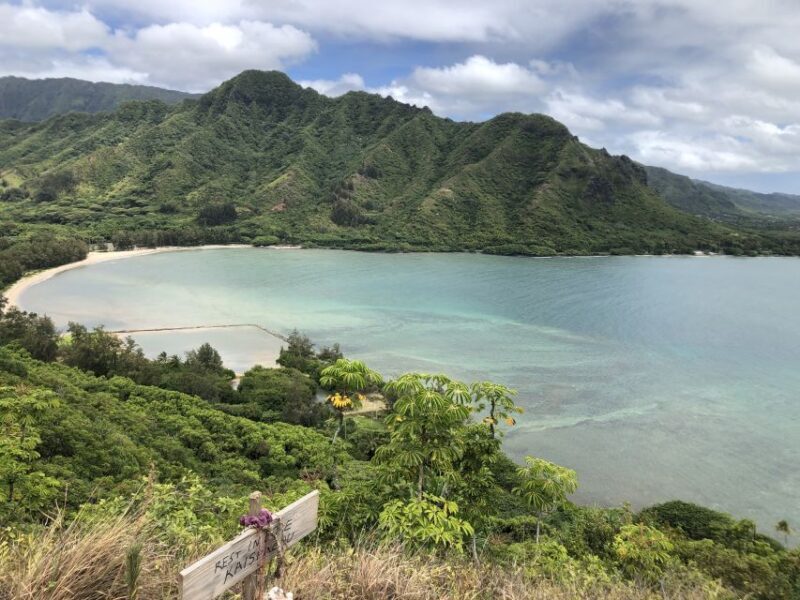 Oahu: Manoa Falls Hike and east side beach day - A Deep Dive into the Oahu: Manoa Falls and East Side Beach Day Tour