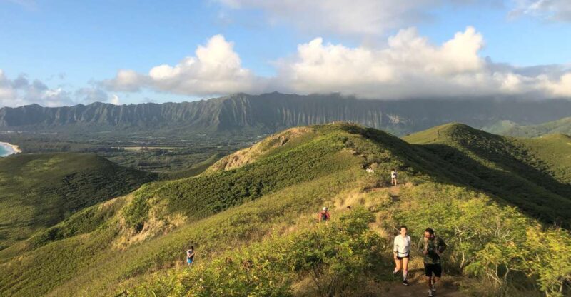 Oahu: Manoa Falls Hike and east side beach day - The Experience You’ll Love
