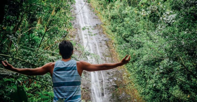 Oahu: Manoa Falls Waterfall Hike with Lunch and Transfers - Key Points