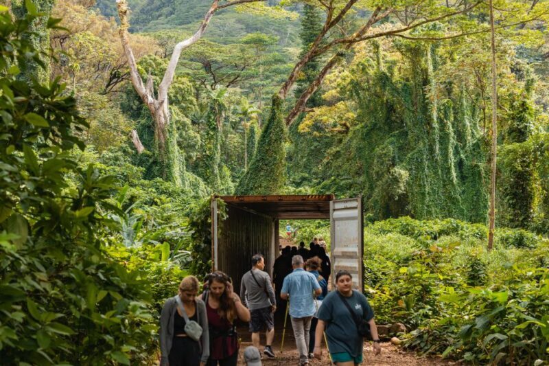 Oahu: Manoa Falls Waterfall Hike with Lunch and Transfers - Who Will Enjoy This Tour?