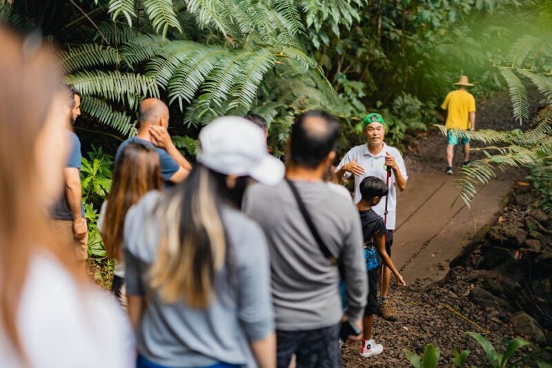 Oahu: Manoa Falls Waterfall Hike with Lunch and Transfers - FAQs