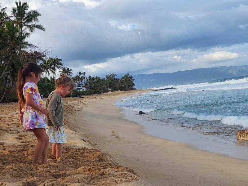 Oahu: North Shore Beaches, Turtles, and Dole Plantation Tour - Key Points