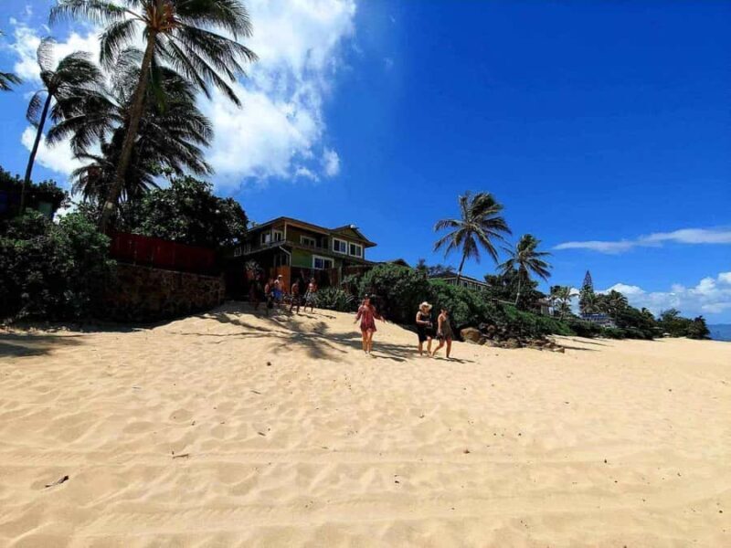 Oahu: North Shore Beaches, Turtles, and Dole Plantation Tour - Final Thoughts