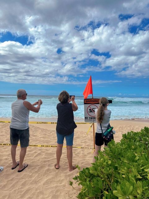 Oahu: North Shore Circle Island Small-Group Tour - Analyzing the Value