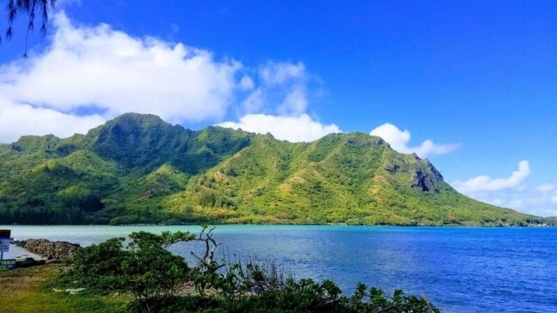 Oahu: North Shore Circle Island Small-Group Tour - The Sum Up