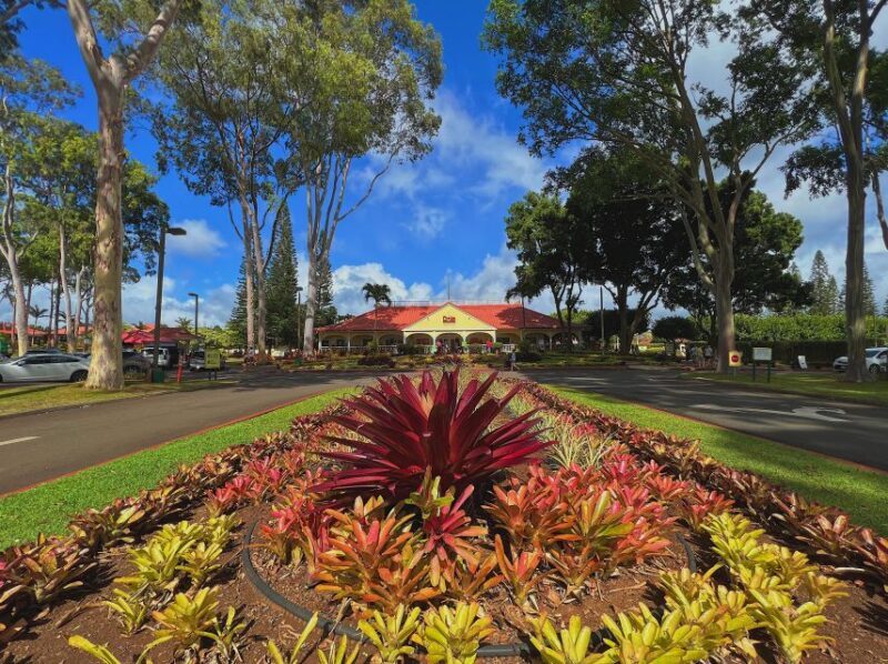 Oahu: North Shore Experience and Dole Plantation - An In-Depth Look at What to Expect