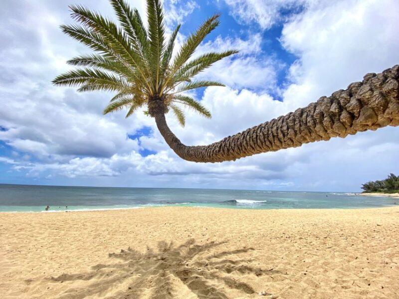 Oahu: North Shore Experience and Dole Plantation - Who Would Love This Tour?