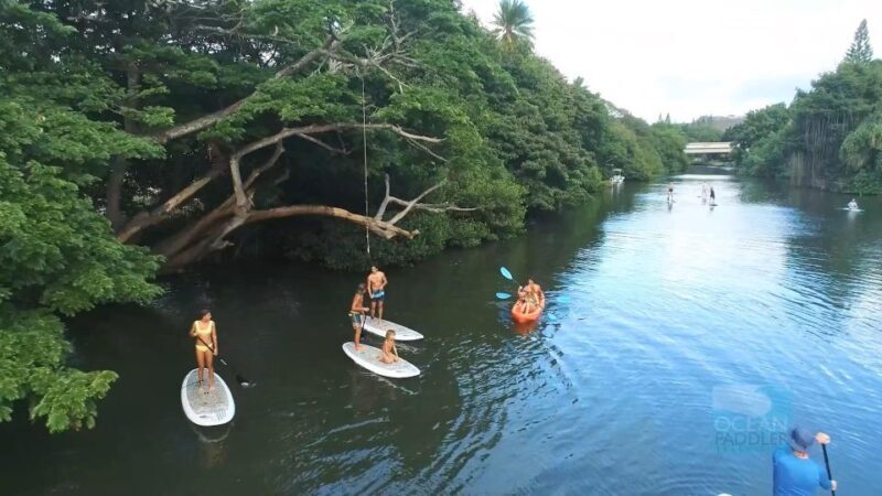 Oahu: North Shore Haleiwa Paddleboard River Adventure - The Value in This Experience
