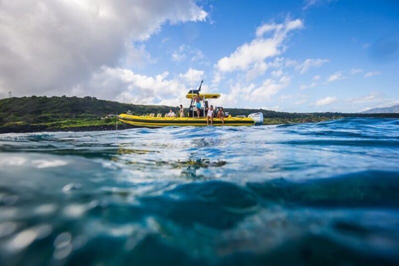 Oahu: North Shore Marine Life Tour from Haleiwa - What to Expect on the North Shore Marine Life Tour