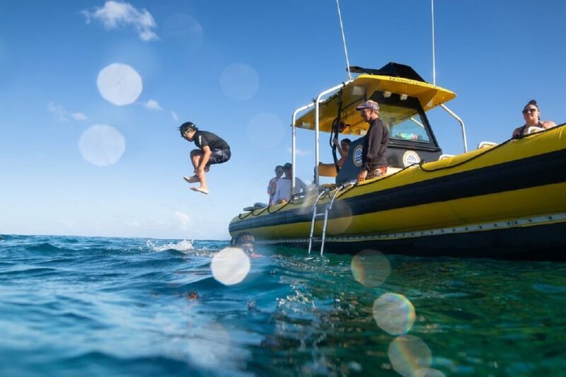 Oahu: North Shore Snorkeling Tour from Haleiwa - Key Points