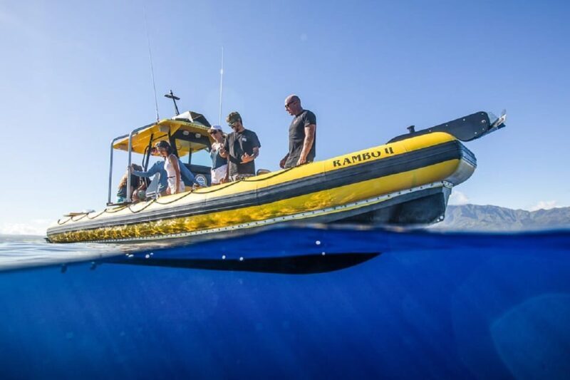 Oahu: North Shore Snorkeling Tour from Haleiwa - Value and Cost Analysis