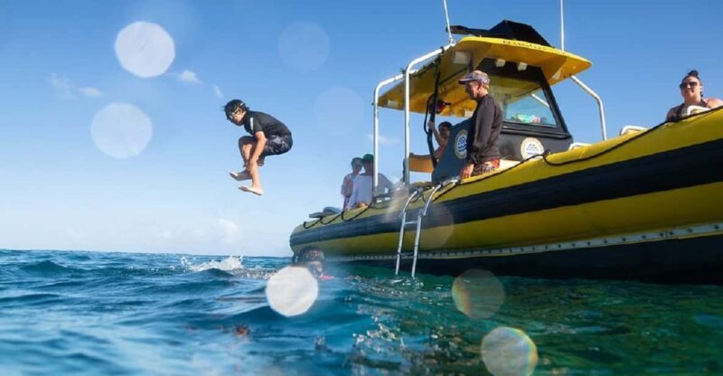 Oahu: North Shore Snorkeling Tour from Haleiwa - Frequently Asked Questions