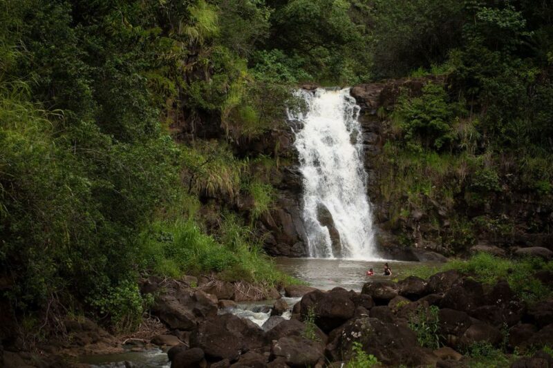 Oahu: North Shore Waterfall Swim - Who Will Enjoy This Tour Most?