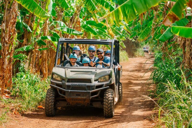 Oahu: North Shore Zip Line Adventure with ATV and Farm Tour - Who Will Love This Tour?