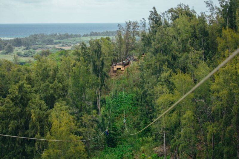Oahu: North Shore Zip Line Adventure with ATV and Farm Tour - FAQ