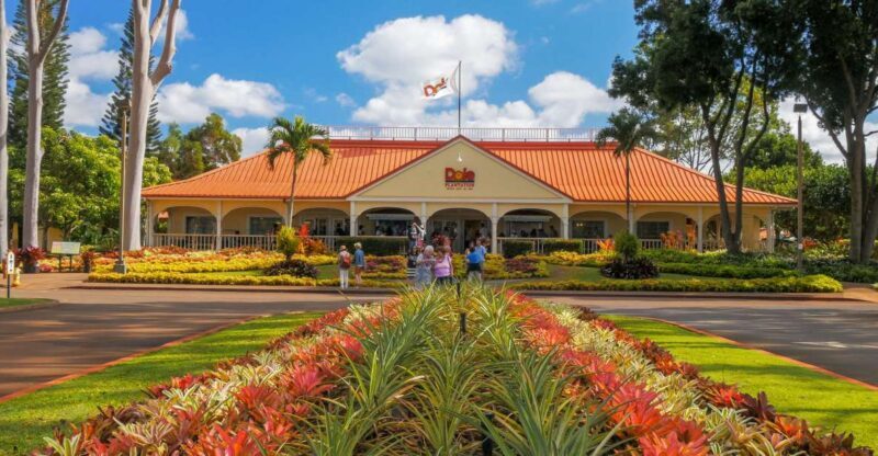 Oahu: Oahu Ultimate Grand Circle Island Tour - Who Would Love This Tour?