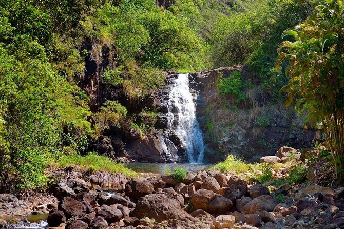 Oahu Personalized Private North Shore Highlight Custom Tour - An Introduction to the Private North Shore Experience
