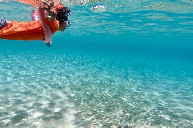 Oahu Personalized Private North Shore Highlight Custom Tour - A Closer Look at the Itinerary