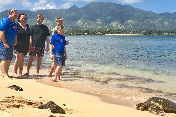 Oahu Personalized Private North Shore Highlight Custom Tour - Who Is This Tour Best For?