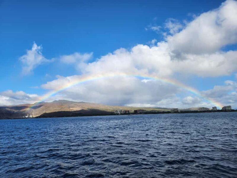 Oahu: Premium Snorkeling Cruise, Whale & Dolphin Watching - Key Points