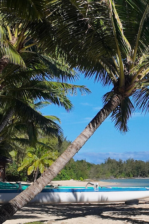 Oahu: Private Full Circle Island Tour - Customizable - FAQ