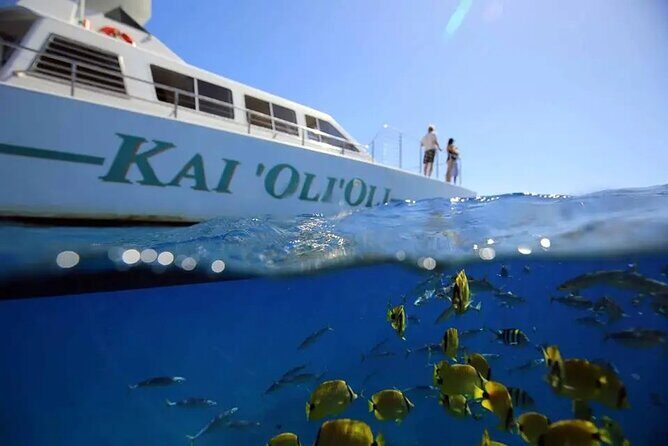 Oahu Private Sunset Snorkel and Dolphin Watch with Hot Buffet - Key Points