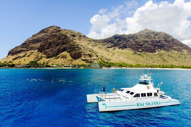 Oahu Private Sunset Snorkel and Dolphin Watch with Hot Buffet - The Sum Up: Is This Tour Right for You?