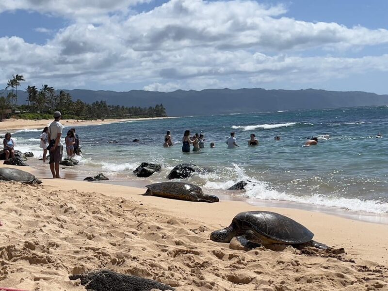 Oahu: Private Tour-Circle Island-Customizable - Key Points