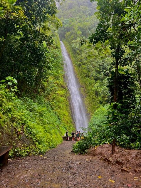 Oahu: Private Tour-Circle Island-Customizable - Considerations