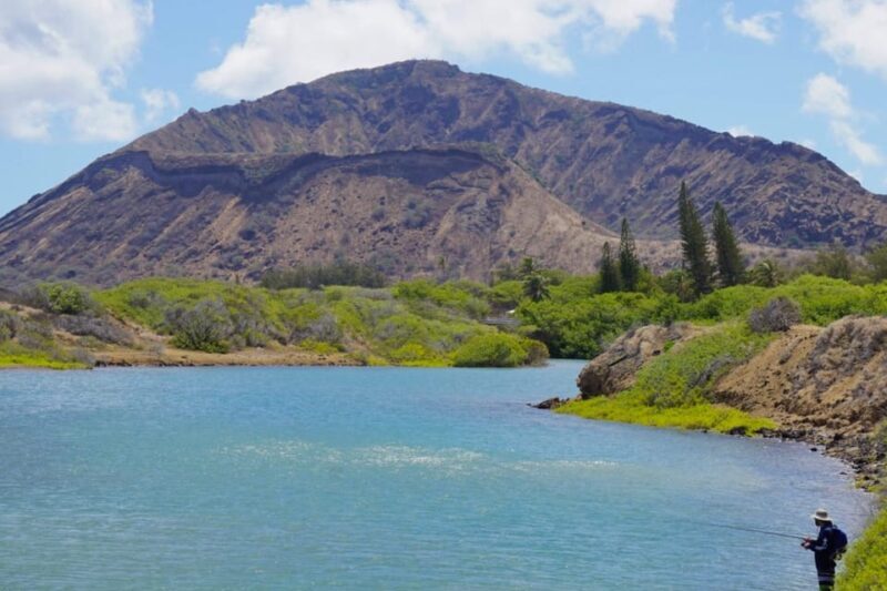 Oahu: Private Tour-Circle Island-Customizable - The Sum Up