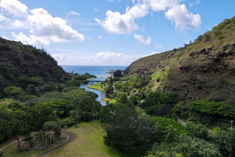 Oahu: Private Tour-North Shore feat. Waimea Falls - The Value of a Private Tour