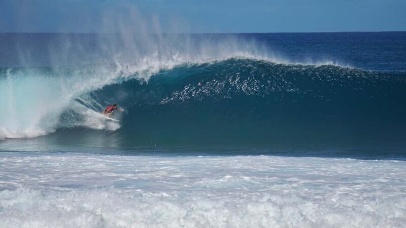 Oahu: Private Tour-North Shore feat. Waimea Falls - Price and Value Analysis