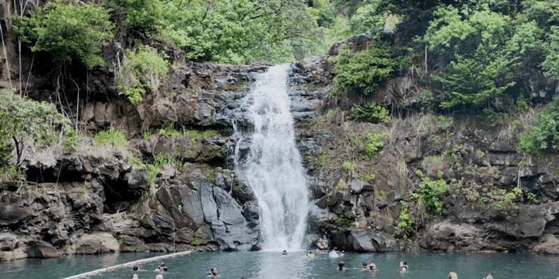 Oahu: Private Tour-North Shore feat. Waimea Falls - What Travelers Say