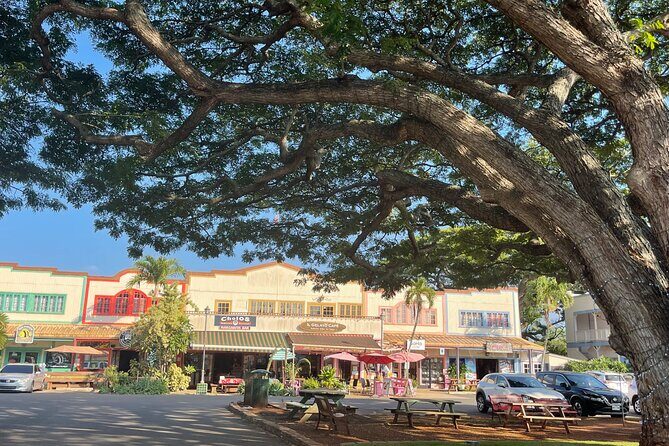 Oahu Private Tour North Shore, Waimea Falls and Dole Plantation - Final Thoughts: Who Will Love This Experience?