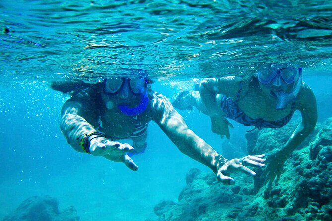 Oahu Private Tour North Shore, Waimea Falls and Dole Plantation - FAQ: Practical Questions about the Tour