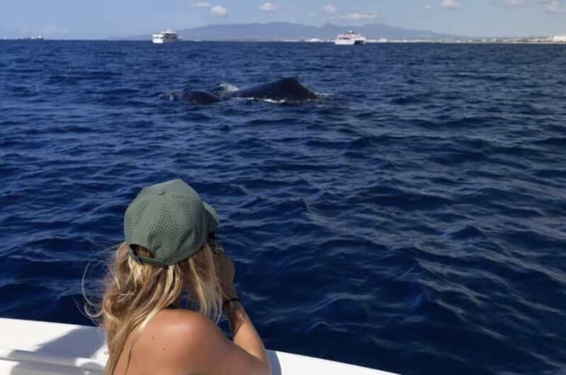 Oahu: Private Whale-Watching Tour - 6 passengers max - FAQs