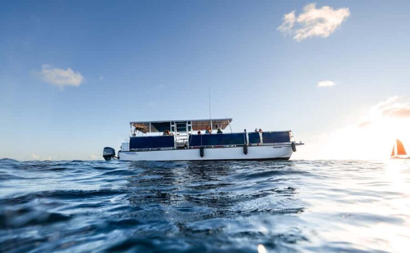 Oahu: Scenic Diamond Head Sunset Cruise (BYOB) - What Real Travelers Say