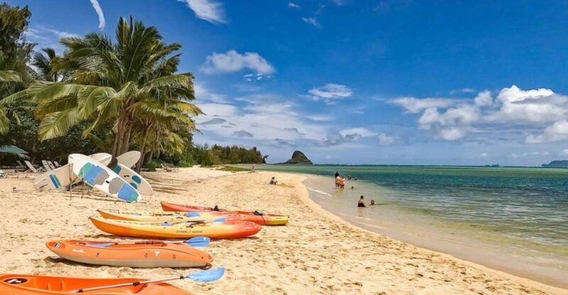 Oahu: Secret Beach Circle Island Adventure - Key Points